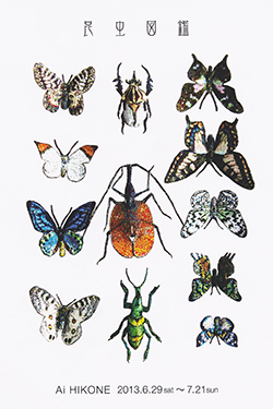 ●昆虫図鑑